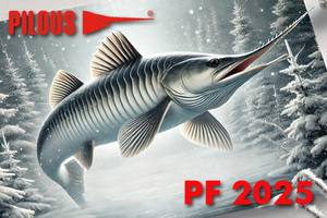 PF 2025